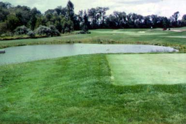 freehold gc