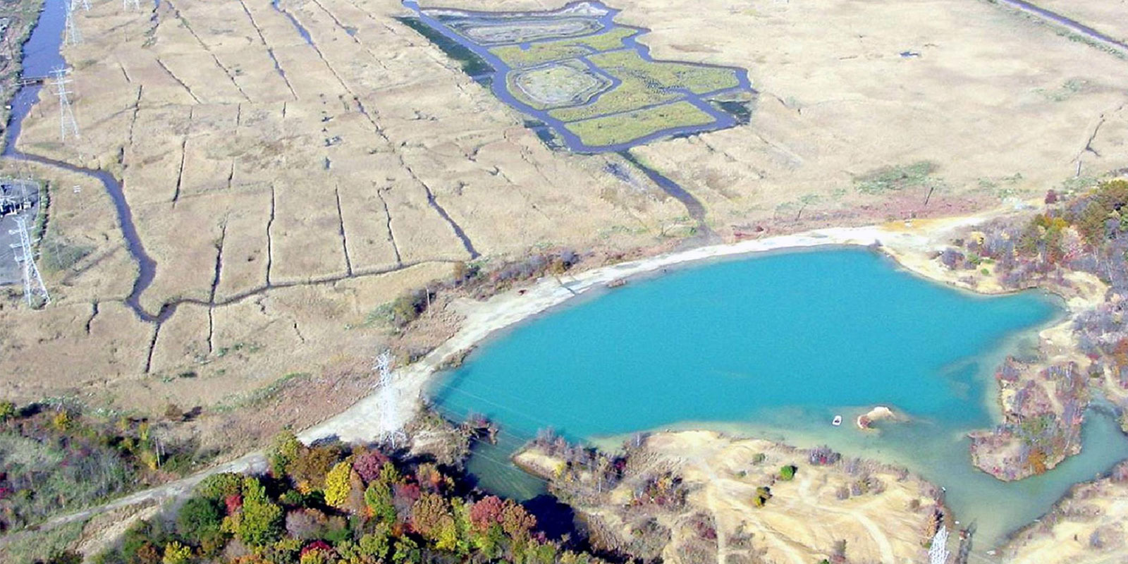 Salt Marshes