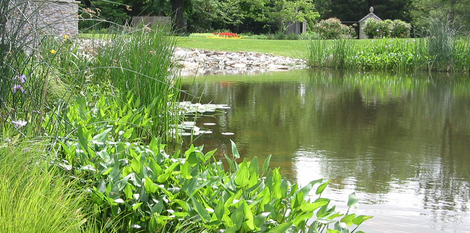 Pond Stream and Fresh Water Wetland Restoration